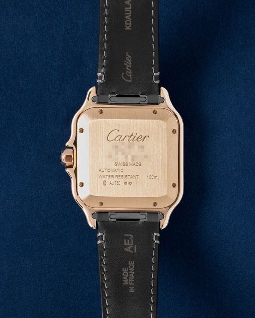 Cartier Santos De Cartier WGSA0019 Image 2